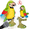 Singender sprechender Papagei - Kinderspielzeug