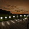 8 Stück LED Solarleuchten für den Garten – 36 x 4,7 cm (H x Ø) – LED-Leuchten für den Außenbereich – Gartenleuchte mit Solar Leuchte – Perfekt als Wegleuchte und für den Balkon oder die Terrasse